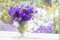 Bouquet containing Salvia viridis 'Blue Monday', Verbena rigida 'Santos', Nigella papillosa 'Delft Blue', Nigella seed pods, Consolida ajacis 'Blue Spire', Ageratum 'Blue Mink'