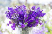 Bouquet containing Salvia viridis 'Blue Monday', Verbena rigida 'Santos', Nigella papillosa 'Delft Blue', Nigella seed pods, Consolida ajacis 'Blue Spire', Ageratum 'Blue Mink'