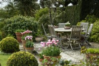 Seating area on a terrace edged with pots of Tulipa 'Cummins' in April