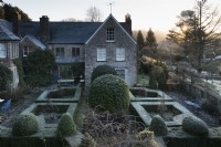 Formal garden at the Old Rectory, Netherbury, Dorset on a frosty January morning with box hedges and clipped Portuguese laurels,. Prunus lusitanica.