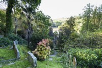 Palm trees and shrubs amongst headstones in St Just in Roseland churchyard in Cornwall in spring