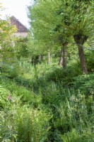 The Ditch at East Lambrook Manor Garden in May