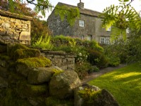 The view over a stone wall to herbaceous borders in the cottage garden at the White House in Countersett, Yorkshire