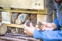 Woman placing pinecones in the gaps of the bug hotel