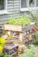Bug hotel with a bed of wildflowers