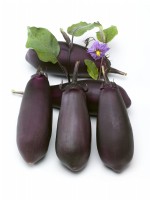 Picked aubergines with leaves and flower, Solanum melongena Money Maker No. 2 F1, summer August