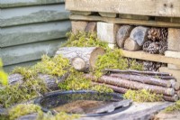 Basin of water in the bug hotel