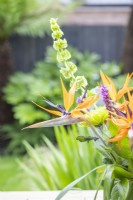 Strelitzia - Crane lily in a bouquet