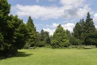 General View Arboretum Kalmthout, Provincie Antwerpen, Belgium. 