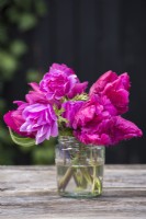 Pink Anemones and Tulips on glass jar on table 