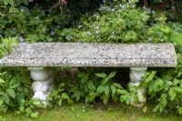 Stone garden bench and Geranium macrorrhizum