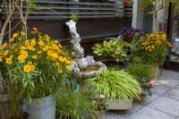 Pots planted with Coreopsis grandiflora, Hakonechloa and Hosta in a patio