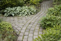 Curved brick path with junction. Green foliage lines either side. Summer. 