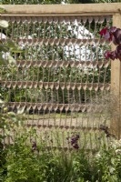 Boundary made of wooden spoons in The Wooden Spoon Garden at RHS Hampton Court Palace Garden Festival 2022