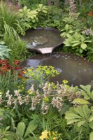Marginal plants around two linked ponds in the RHS Planet-Friendly Garden at RHS Hampton Court Palace Garden Festival 2022