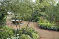 RHS Planet-Friendly Garden at RHS Hampton Court Palace Garden Festival 2022