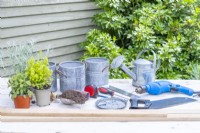 Lengths of oak, buckets, watering can, set square, screwdriver, drill, saw, tape measure, pencil, compost scoop, bolts, wingnuts, washers, hooks, Sage 'Icterina', French Marjoram and a Curry plant