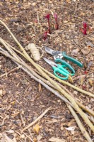 Secateurs, scissors, string, birch and hazel sticks laid out on the ground