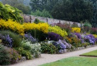 A late summer border at Waterperry Gardens with  Aster x frikartii 'Monch', Symphyotrichum, Michaelmas Daisies, Helianthus 'Lemon Queen', Sunflowers  and Solidagos, Goldenrods.