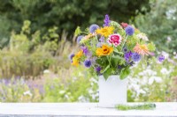 Bouquet containing Zinnias 'Whirlygig Mixed' and 'Cactus Mixed', Ammi visnaga, Salvia viridis 'Blue Monday' and Echinops ritro - Globe Thistle