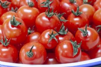 Solanum lycopersicum tomato 'Sweet Million'