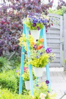 Cut flowers in buckets on painted wooden A frame