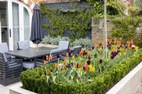 Tulipa 'Ballerina' and 'Queen of Night' in contemporary urban garden with garden table and outside dining area