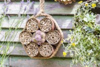 Hanging bee hotels with trailing plant sieve display