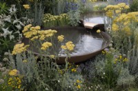 Achillea 'Terracotta' - Yarrow - with water flowing gently between two staggered Torc Pots corten steel water bowls.  The Daily Mail and RHS Planet-Friendly Garden, RHS Hampton Court Palace Garden Festival 2022.  Designer: Mark Gregory 