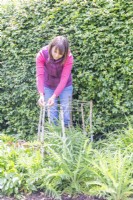 Woman tying the twine across to each stick to create a supporting web