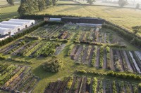 Aerial view of a flower farm in Somerset in July