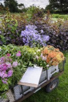 A trolley of freshly cut flowers and foliage at a flower farm in July