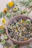 Calendula - Picked pot marigold seed heads
