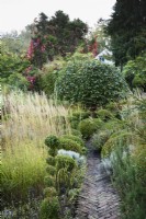 A herringbone brick path leads into a garden with a central umbrella Portuguese laurel, Prunus lusitanica, and clipped box mixed with grasses including Calamagrostis x acutiflora 'Karl Foerster' in November