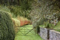 Gate leading towards a line of pollarded willows in a country garden in November