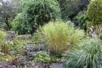 A bench surrounded by tall miscanthus in November