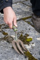 Person using a hand fork to remove moss in paving