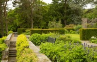 A wooden bench surrounded by plants and Yew hedge on a terrace at Parcevall Hall Gardens in June