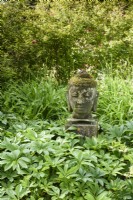 Stone head of the buddha in the wild garden at Doddington Hall near Lincoln in May