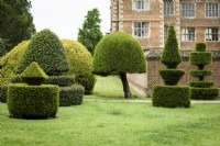 Clipped yew and holly topiary in May at Doddington Hall near Lincoln