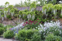 Border in the West Garden at Doddington Hall near Lincoln in May, with peonies, geraniums and white wisteria.