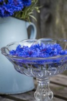 Centurea cyanus flowers  floating in raised glass bowl