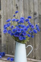 Centurea cyanus arranged in blue enamel jug against wooden background