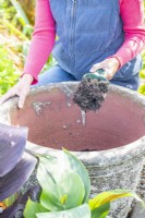 Woman filling large container with compost