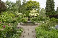 An urn shaped fountain and circular water feature, a centerpiece  of the rose garden and Cornus kousa 'Milky Way' at Newby Hall Gardens.