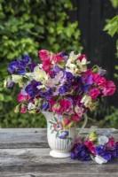 Bouquet of mixed Lathyrus odorata - Sweet peas displayed in vintage china jug on table