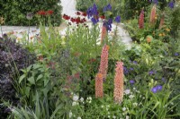 Perennial mixed planting in A Jouney, in Collaboration with Sue Ryder garden at RHS Hampton Court Palace Garden Festival 2022