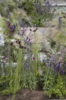 Mixed perennials in the Marshalls Landscaping Garden at BBC Gardeners World Live 2022