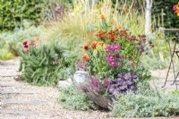 Shallow container planted with Heuchera 'Little Cutie Frost', Anemone 'Fantasy Red Riding Hood', Astrantia 'Sparkling Stars', Calluna vulgaris and Kniphofia 'Red Hot Poker' 