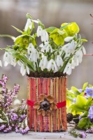 Floral arrangement with Snowdrops, Dogwood branches and Helleborus Decorative tin can vase made of dogwood branches, cones and seedheads..
